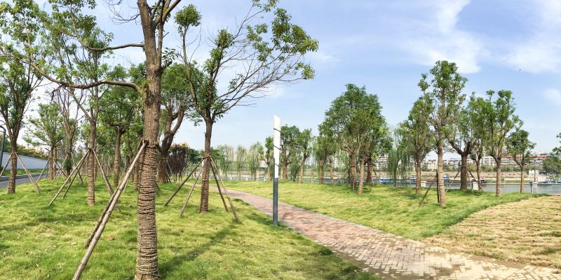 w66国际·利来(中国)最给力的老牌