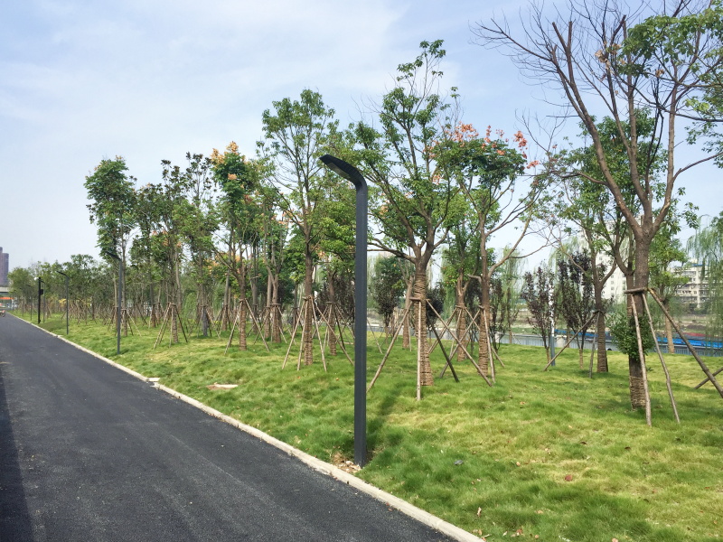 w66国际·利来(中国)最给力的老牌