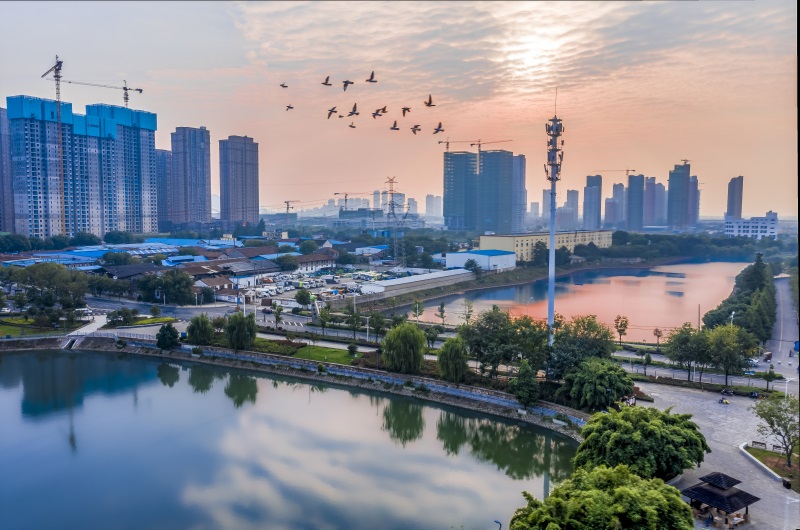 w66国际·利来(中国)最给力的老牌