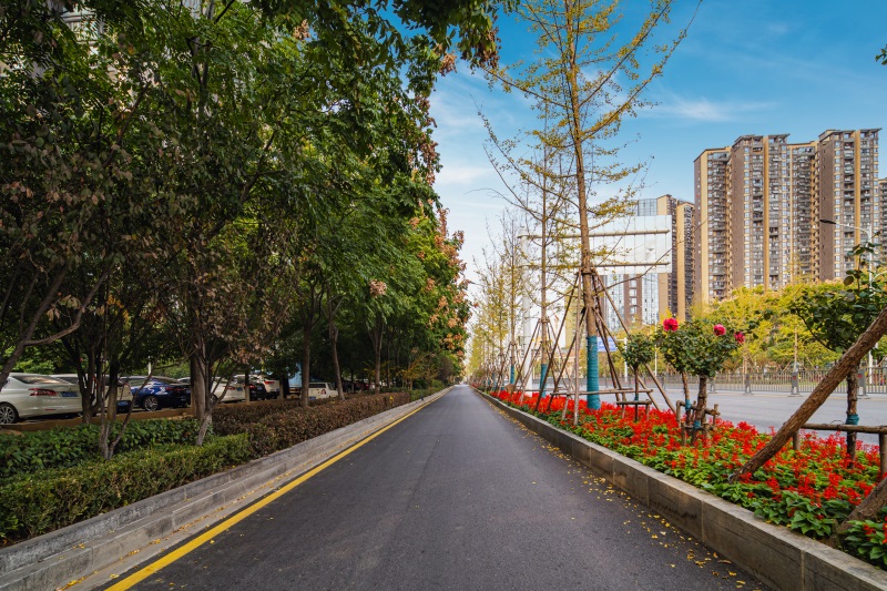 w66国际·利来(中国)最给力的老牌