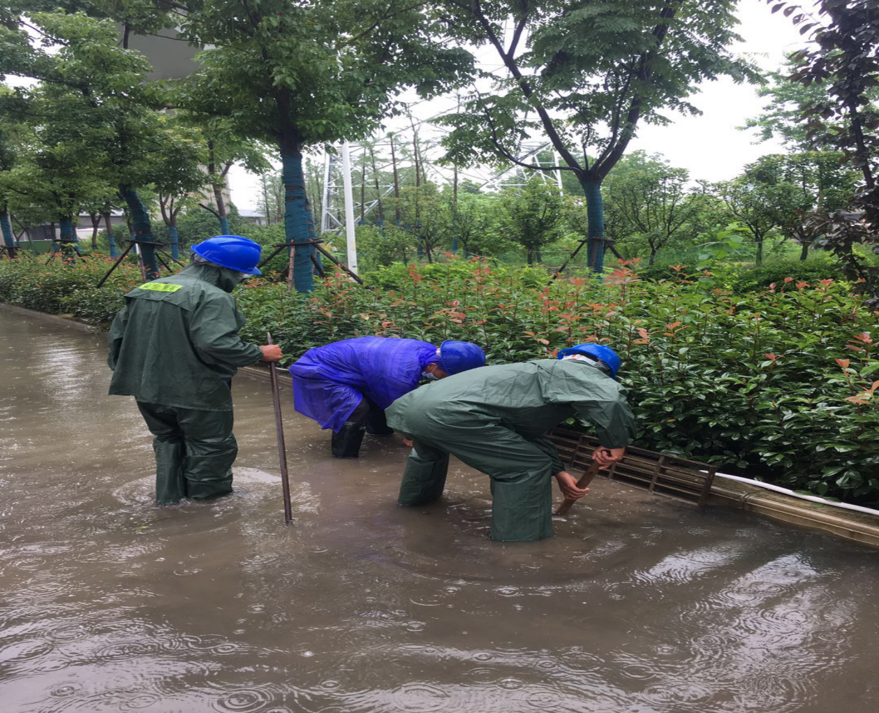 w66国际·利来(中国)最给力的老牌
