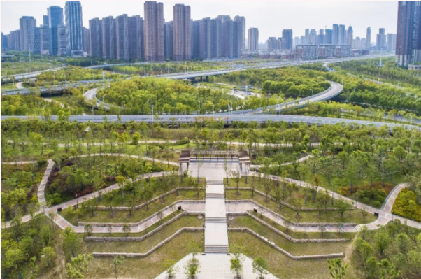 w66国际·利来(中国)最给力的老牌
