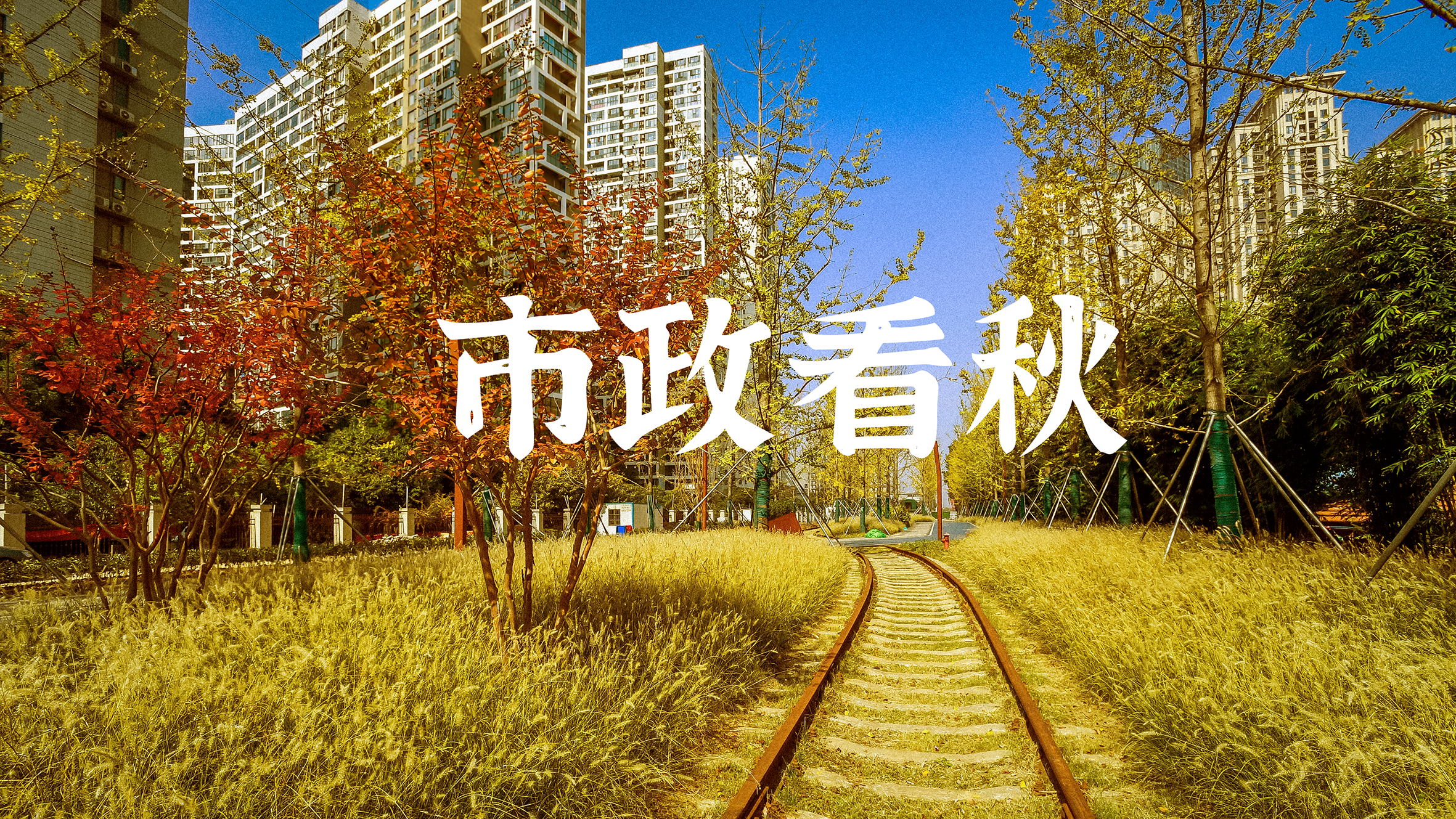 w66国际·利来(中国)最给力的老牌
