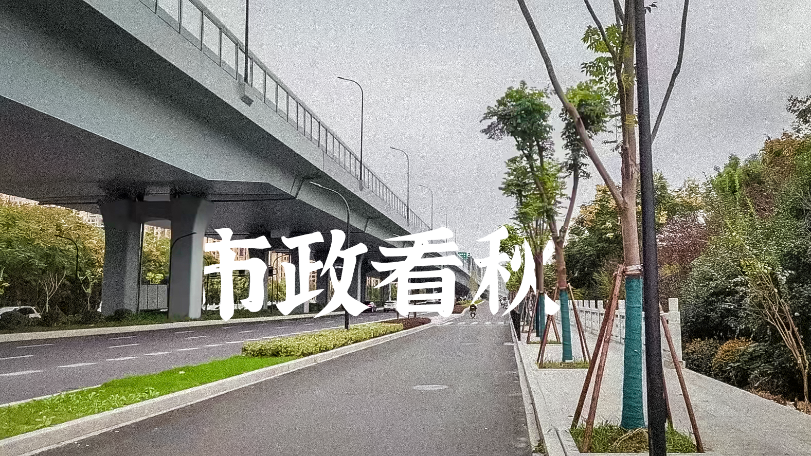 w66国际·利来(中国)最给力的老牌