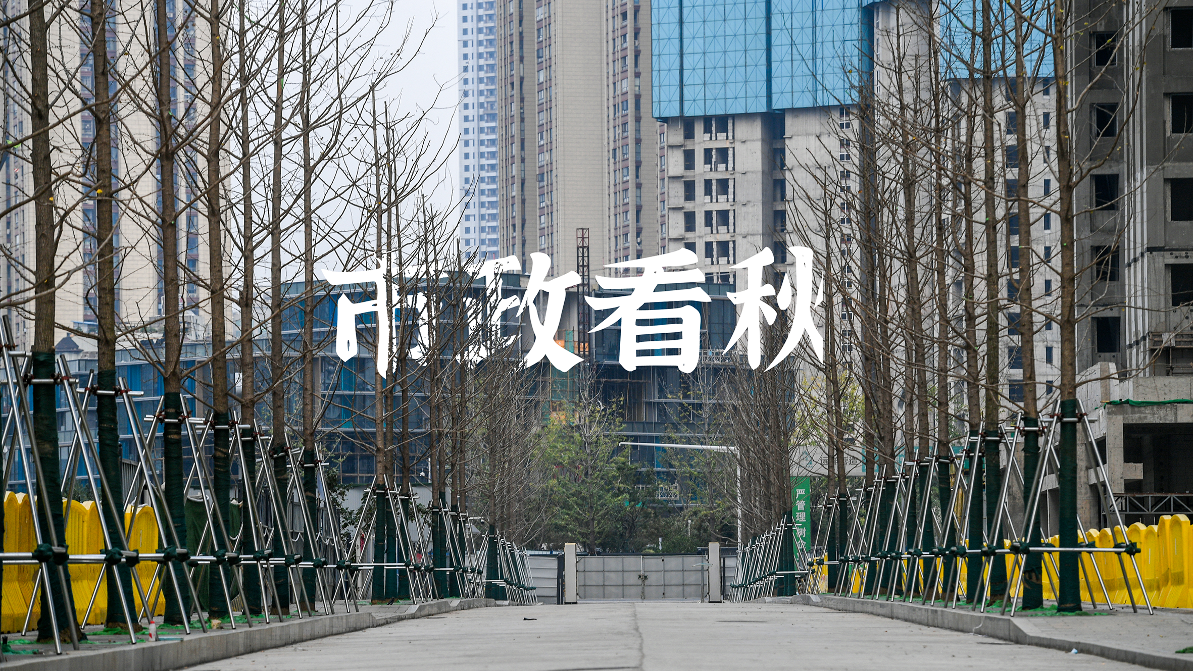 w66国际·利来(中国)最给力的老牌