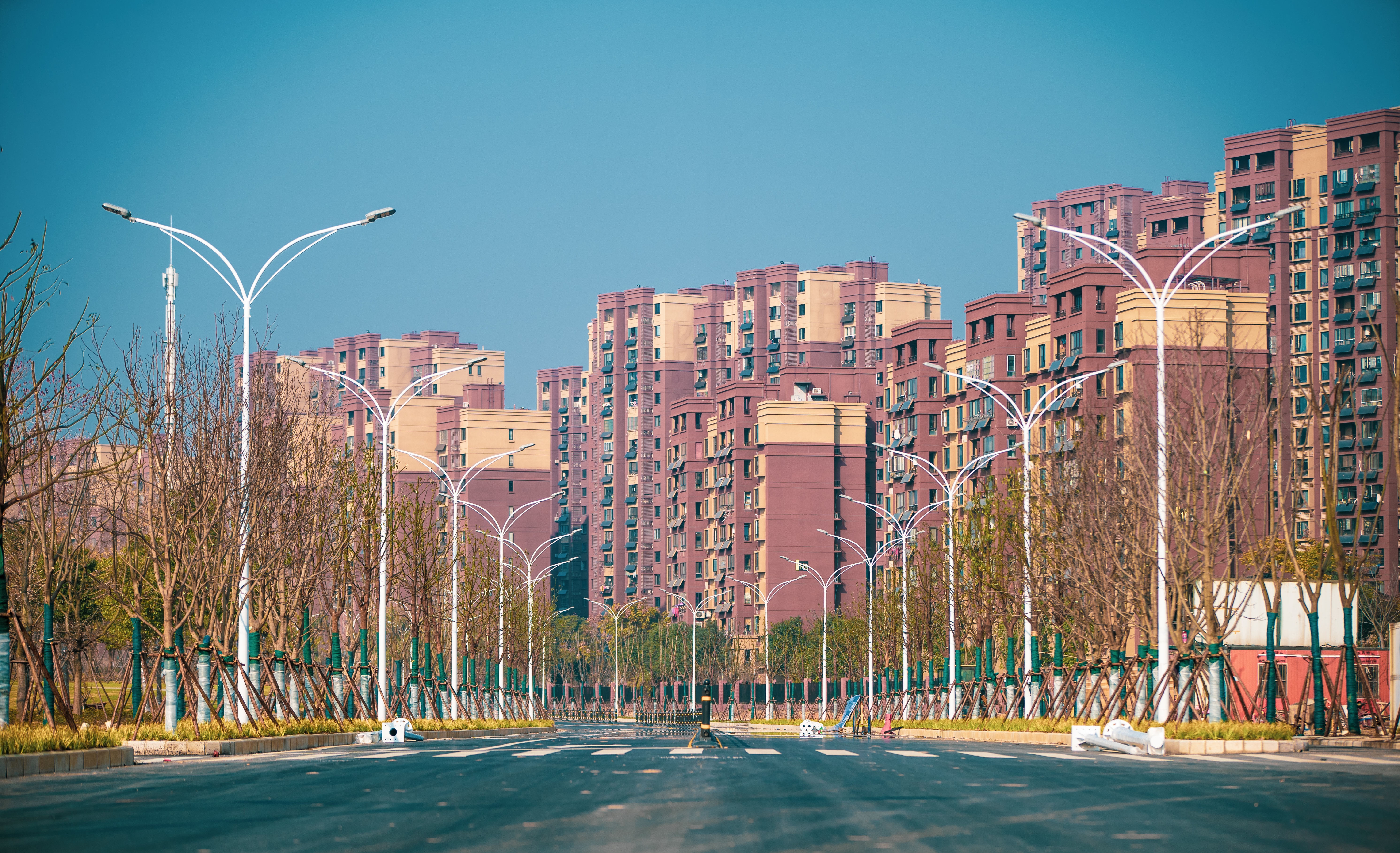 w66国际·利来(中国)最给力的老牌