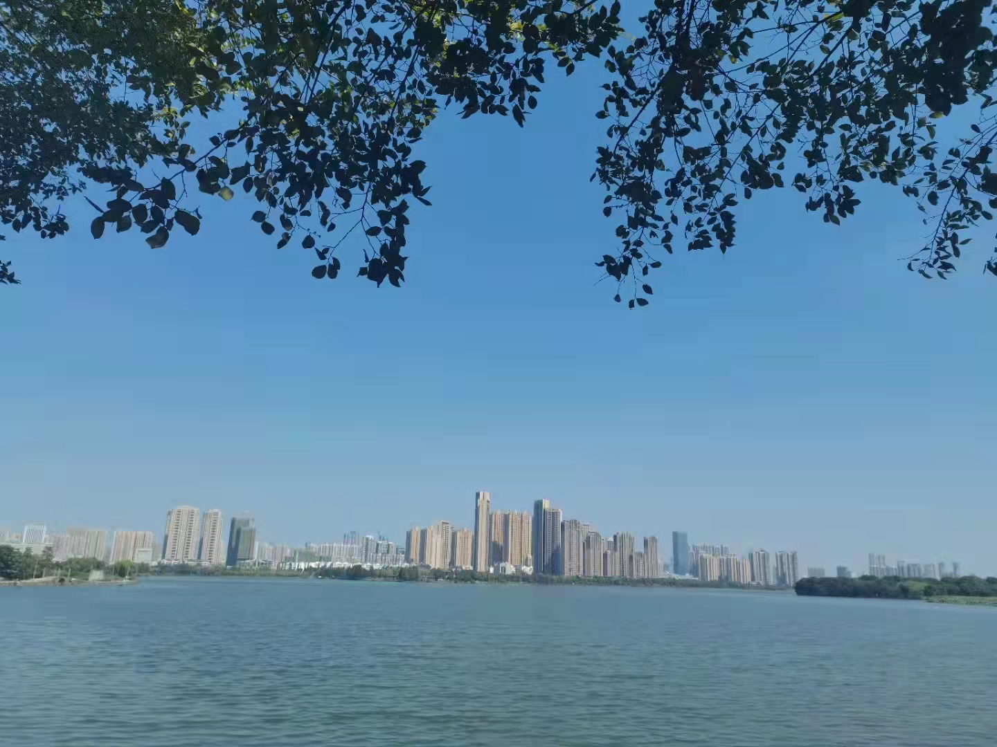 w66国际·利来(中国)最给力的老牌