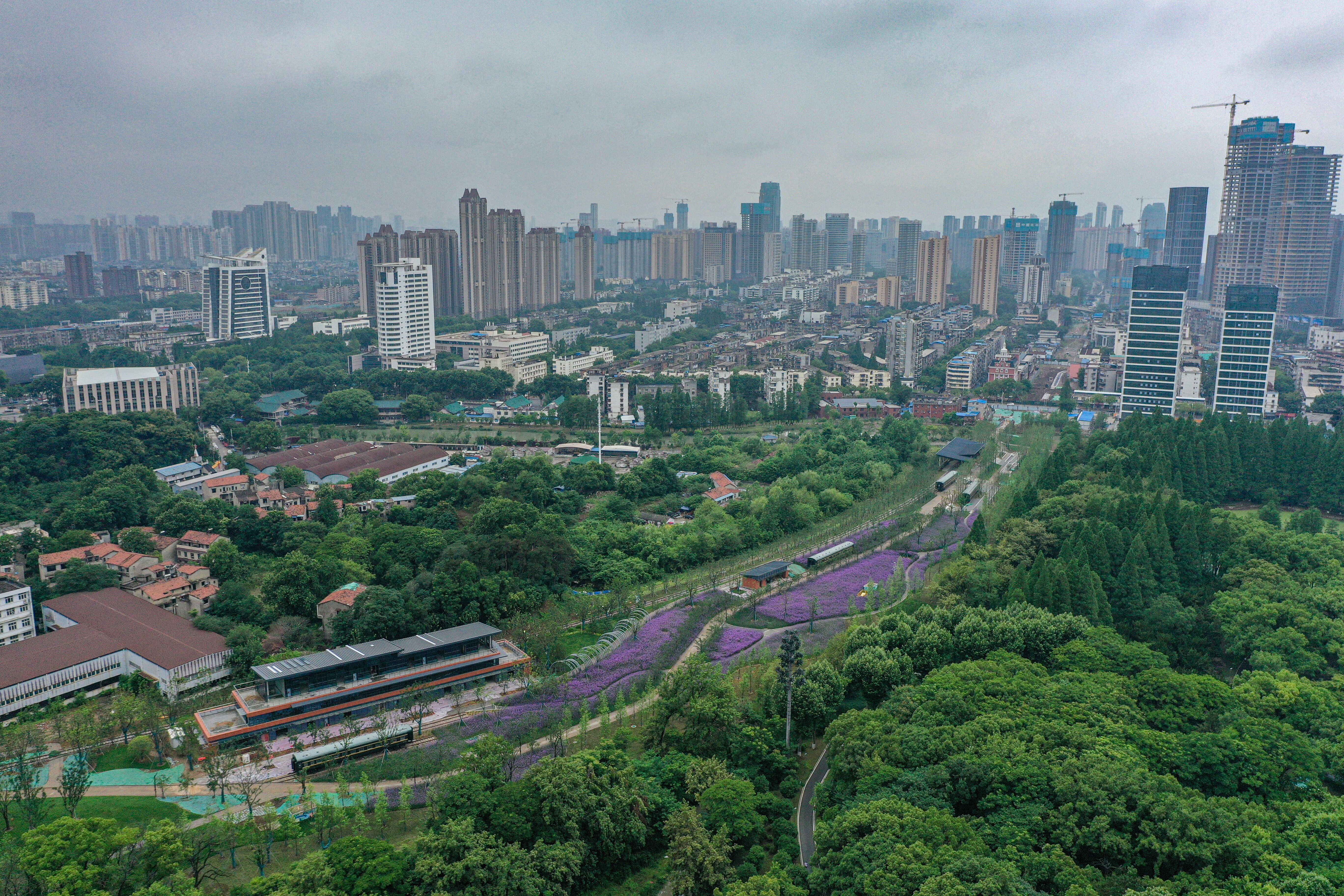 w66国际·利来(中国)最给力的老牌