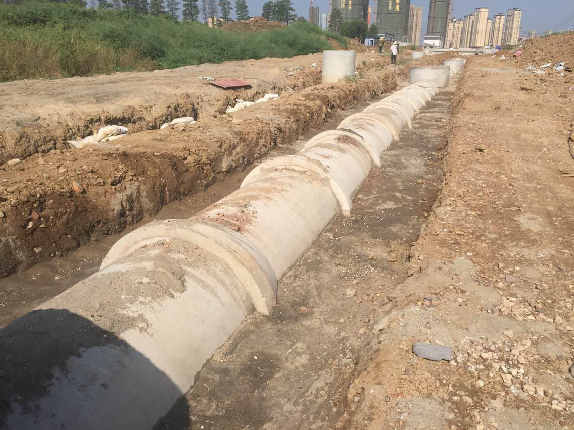 w66国际·利来(中国)最给力的老牌