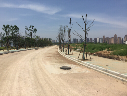 w66国际·利来(中国)最给力的老牌
