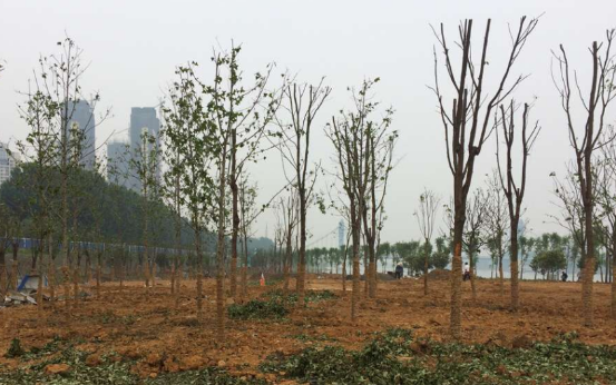 w66国际·利来(中国)最给力的老牌