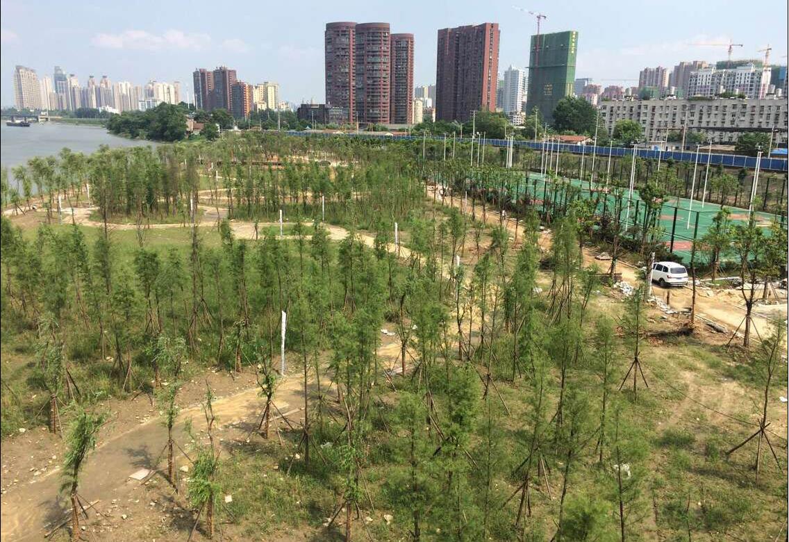 w66国际·利来(中国)最给力的老牌