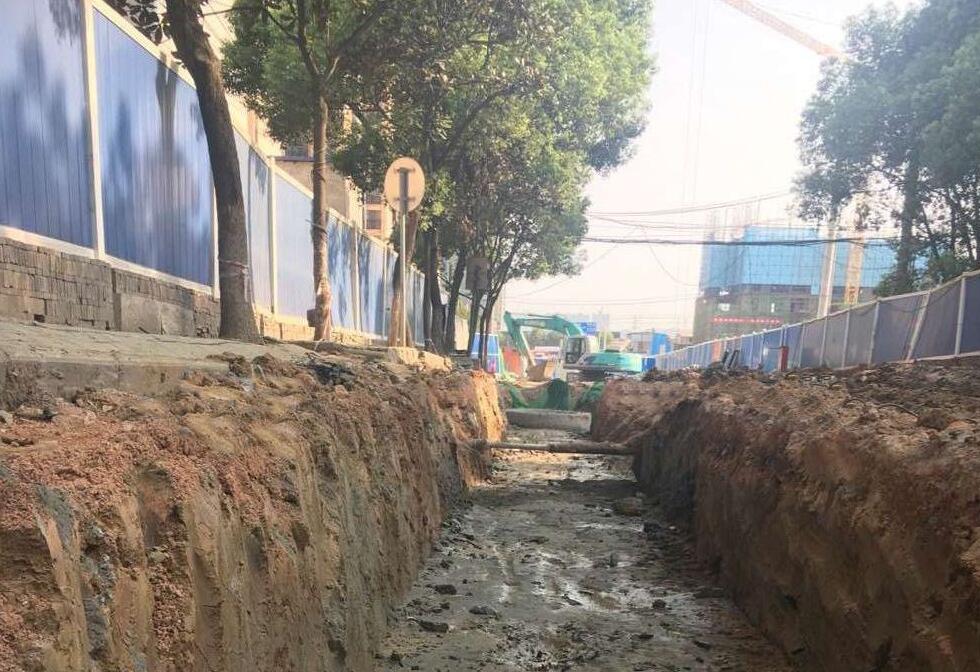 w66国际·利来(中国)最给力的老牌