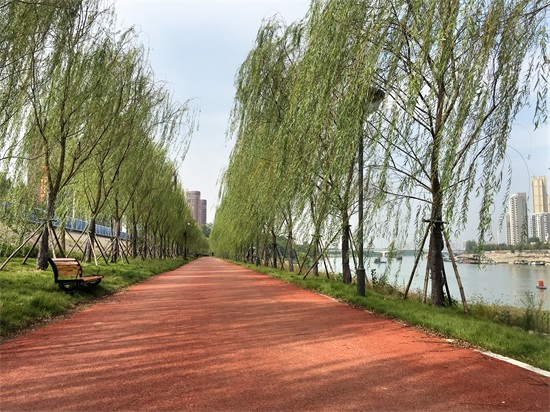 w66国际·利来(中国)最给力的老牌