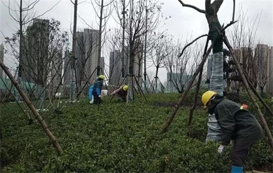 w66国际·利来(中国)最给力的老牌