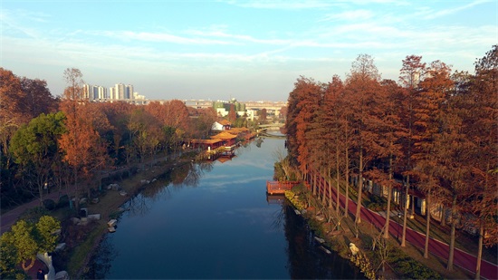 w66国际·利来(中国)最给力的老牌