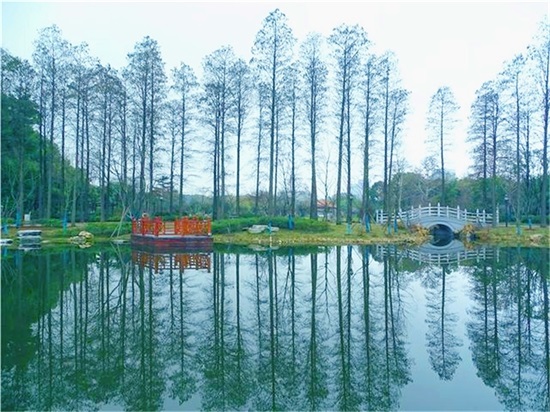 w66国际·利来(中国)最给力的老牌