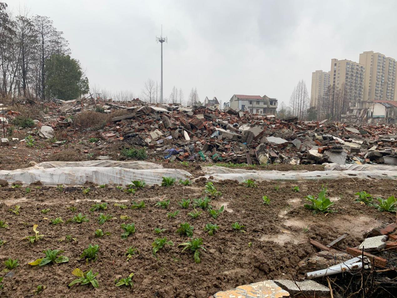 w66国际·利来(中国)最给力的老牌