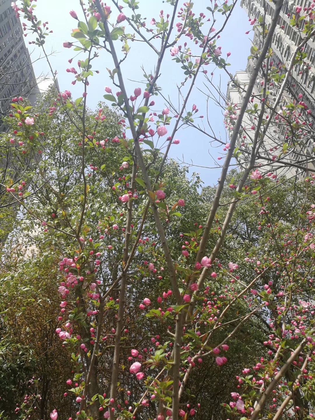 w66国际·利来(中国)最给力的老牌